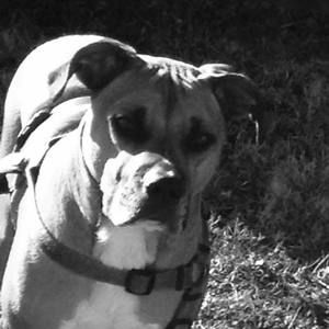 Meet your Posher, Dylan